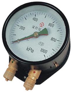 ˫ѹ˫ͷѹ duplex pressure gaugeDuplex Gauge ˫˫ѹ˫˫ܱ˫ͷѹ double-pin pressure gauges